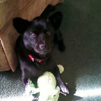 Cora Simmons Photo 7