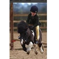 Will Stafford Photo 20