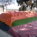 Syed Asghar Photo 33