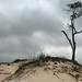 Billy Land Photo 18