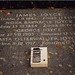 Joyce Stone Photo 17