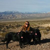 Shawna Casey Photo 12