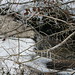 Teresa Storm Photo 14