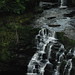 Clyde White Photo 14