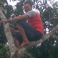 Andy Crespo Photo 12
