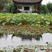 Li Yuan Photo 28