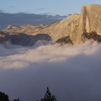 Frank Carr Photo 31