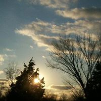 Martha Brewer Photo 22