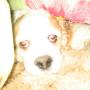 Kimberly Goodman Photo 11
