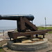 Alonzo Cannon Photo 3