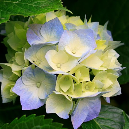 Marie Knight Photo 19