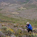 Jerry Baird Photo 12