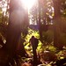 Suzanne Pender Photo 14