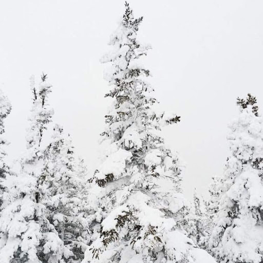 Jonathan Snow Photo 11