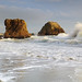Sandy Mcclure Photo 2