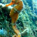 Angela Diver Photo 15