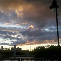 Gail Siegel Photo 24