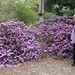 Becky Bush Photo 19
