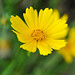 Quy Tang Photo 22