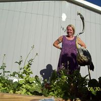 Annette Healy Photo 3