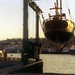 Dena Wolf Photo 8