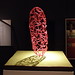 Judith Hall Photo 21