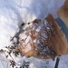 Rusty Bush Photo 6