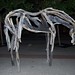 Deborah Link Photo 15
