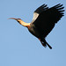 Mark Grise Photo 10
