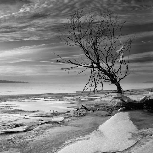 Joe Huang Photo 32