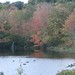 Charles Needham Photo 8