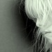 Jill Mahoney Photo 23