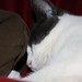 Heidi Gray Photo 23