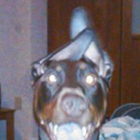 James Altieri Photo 4