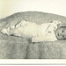 Michael Schell Photo 21