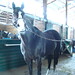 Julie Davie Photo 15