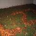 Joel Sievers Photo 8