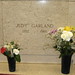 Dorothy Graves Photo 11
