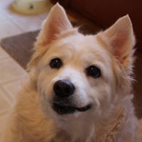Janice Cosper Photo 3