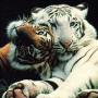 Debra Gruber Photo 12