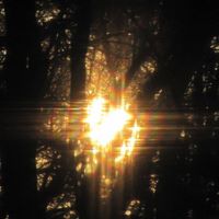 Dawn Gordon Photo 28