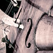 George Jobe Photo 5