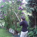 Michele Mayo Photo 16