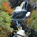 Mark Paulson Photo 22