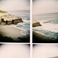 Trang Pham Photo 32