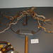 Judith Welch Photo 21