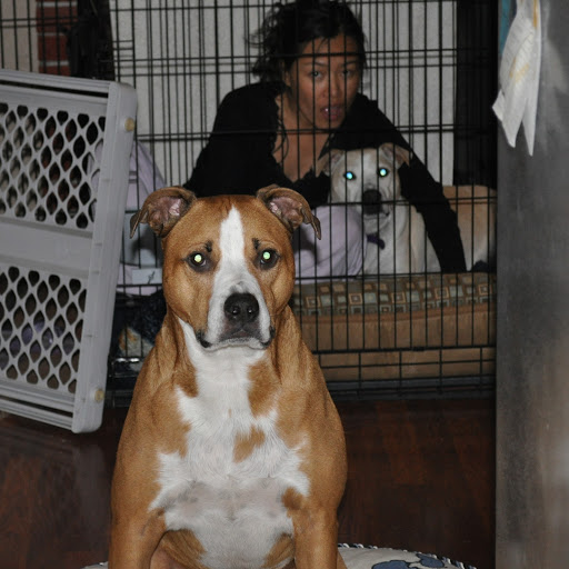 Ted Sprague Photo 6