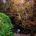 Rosanne Robinson Photo 6