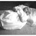 Julie Parkins Photo 4
