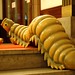Ngoc Pham Photo 34